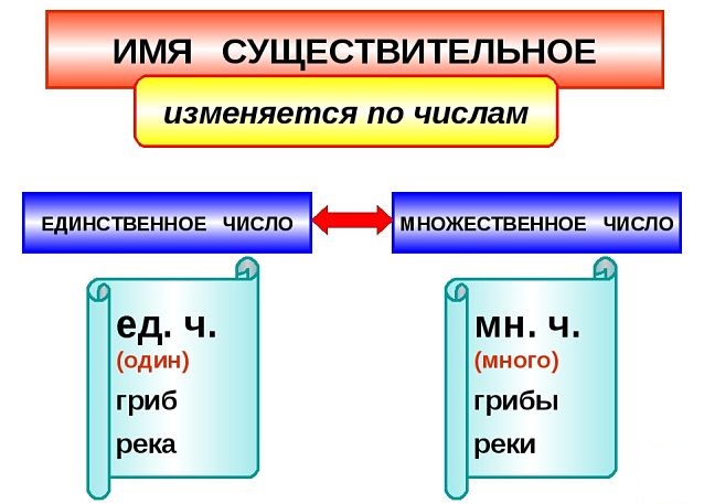 Единственное и множественное число в русском языке