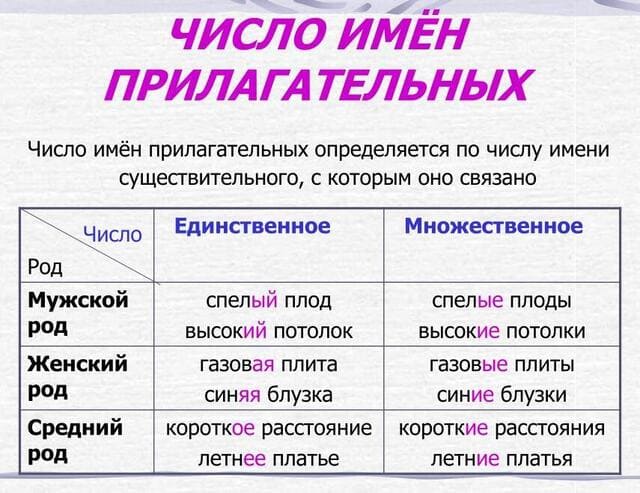 Единственное и множественное число в русском языке