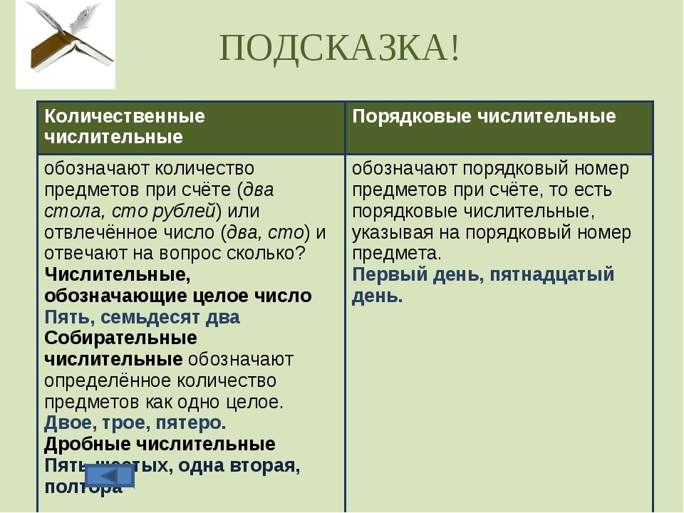Морфологические признаки числительного в русском языке