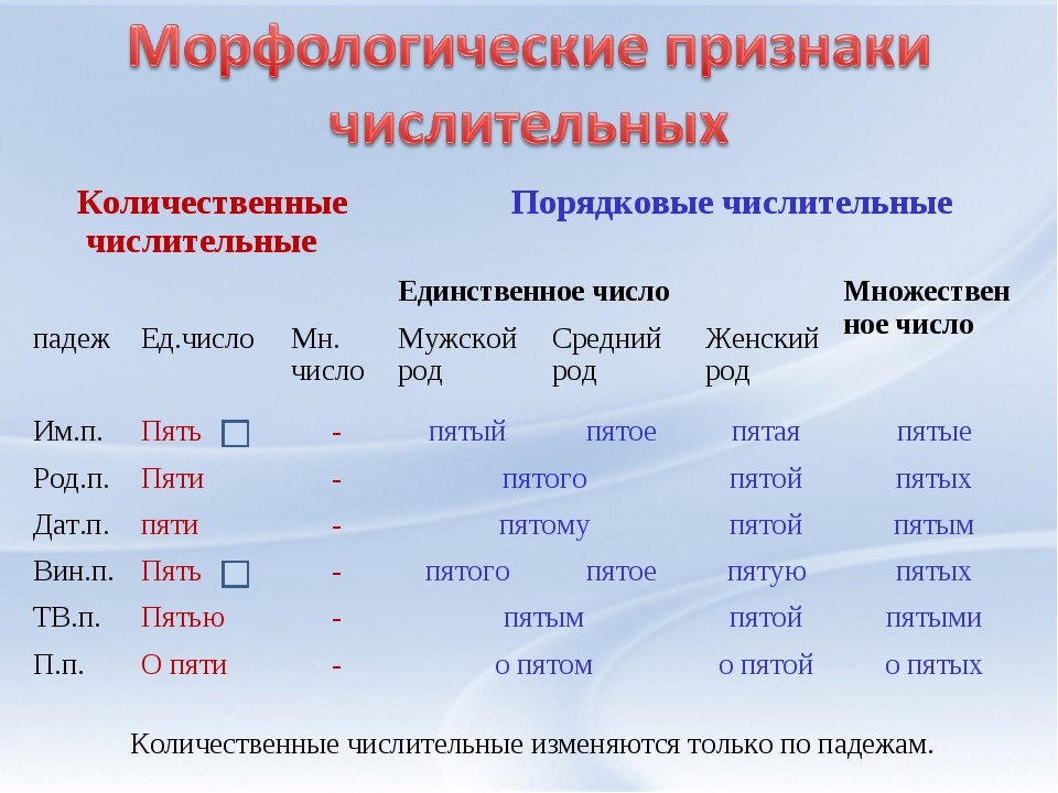 Морфологические признаки числительного в русском языке