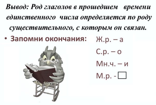 Род глаголов в русском языке: как определить форму