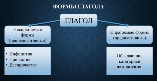 Какие формы глаголов бывают в русском языке