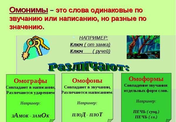Что такое омонимы в русском языке? Примеры